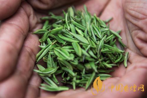 秦巴霧毫的產(chǎn)地在哪  秦巴霧毫多少錢(qián)一斤