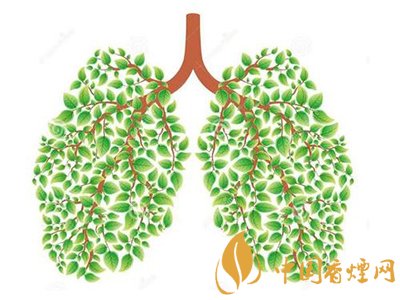 相比癌癥慢阻肺疾病離吸煙者更近！