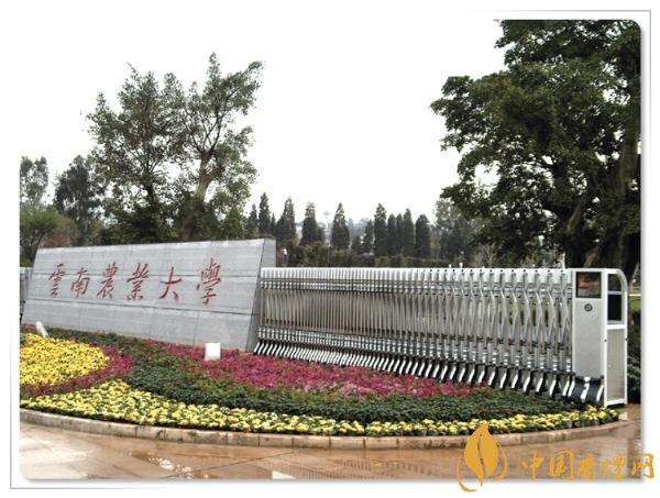 煙草專業(yè)大學(xué)排名，煙草專業(yè)就業(yè)前景好