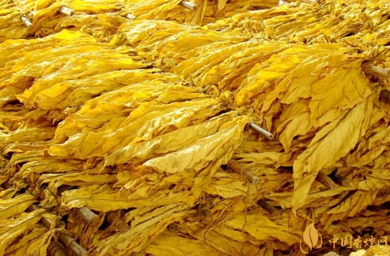 有機(jī)煙葉是什么，有機(jī)煙葉和普通煙葉的區(qū)別