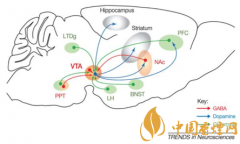 煙癮是什么 煙癮犯了怎么辦！